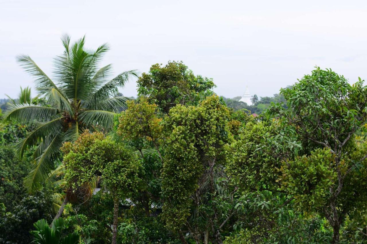 Heritage Eco Resort Kelaniya Экстерьер фото