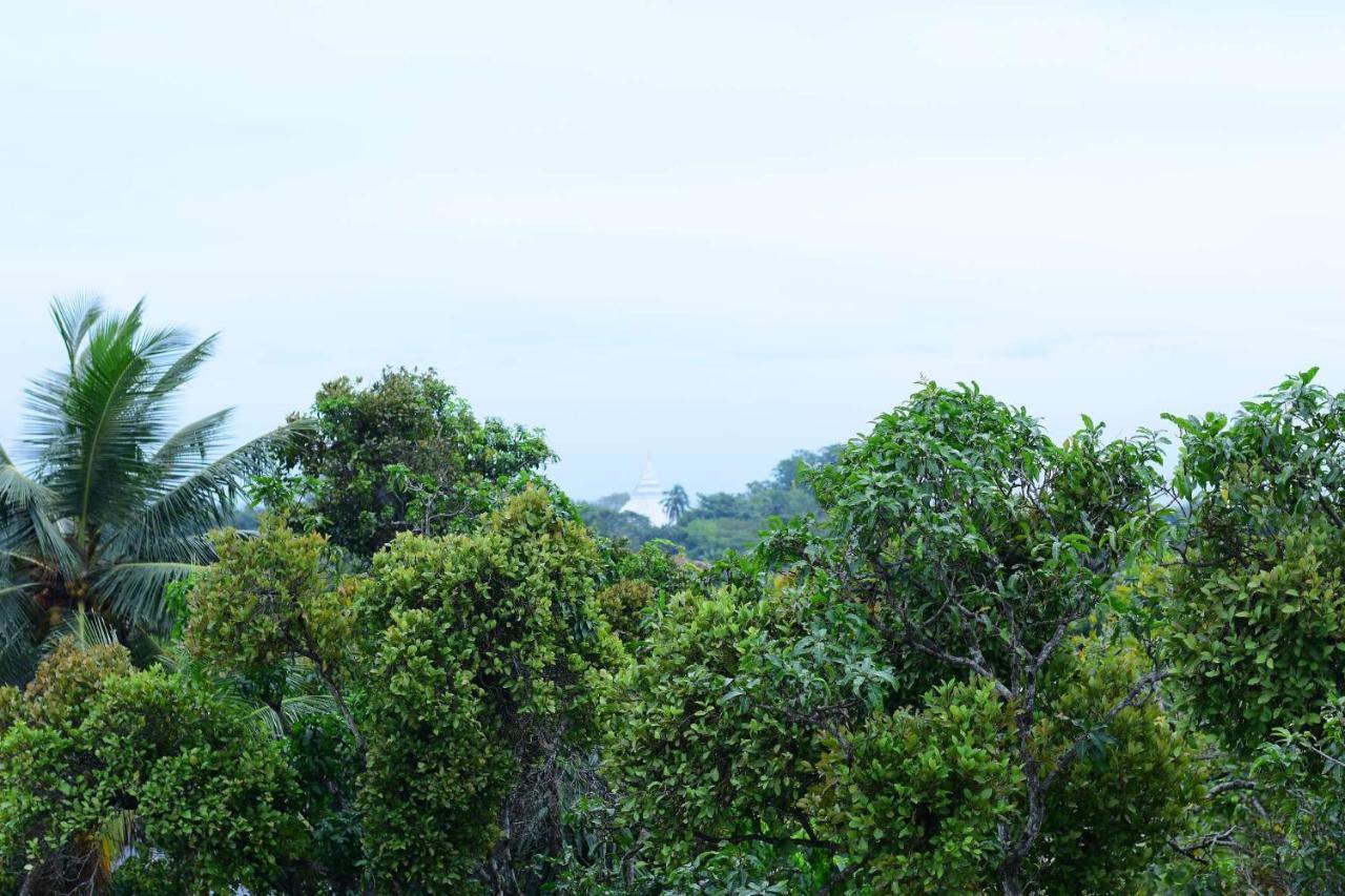 Heritage Eco Resort Kelaniya Экстерьер фото