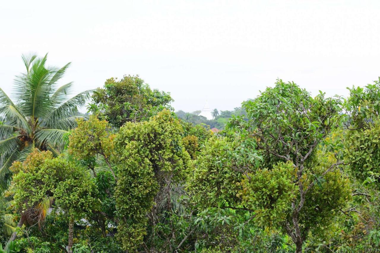 Heritage Eco Resort Kelaniya Экстерьер фото
